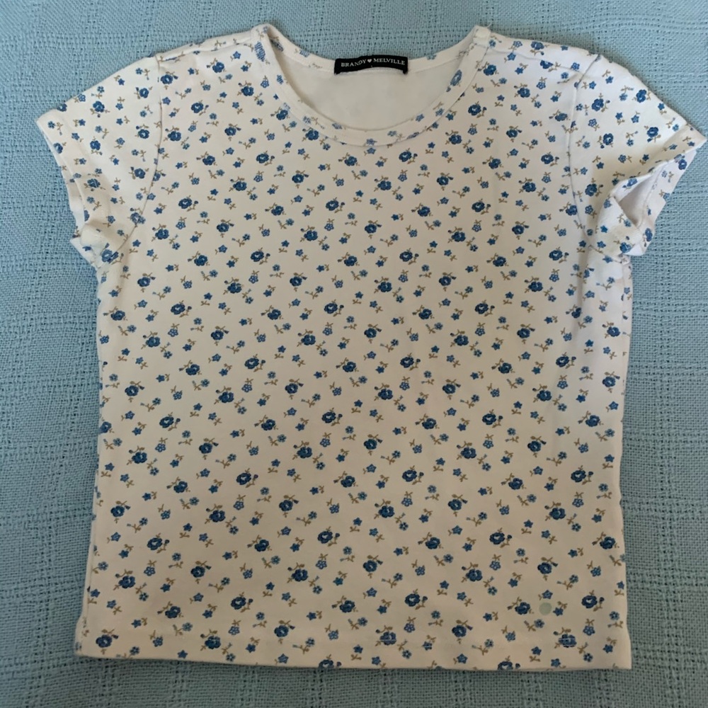 Cropped Brandy Melville top